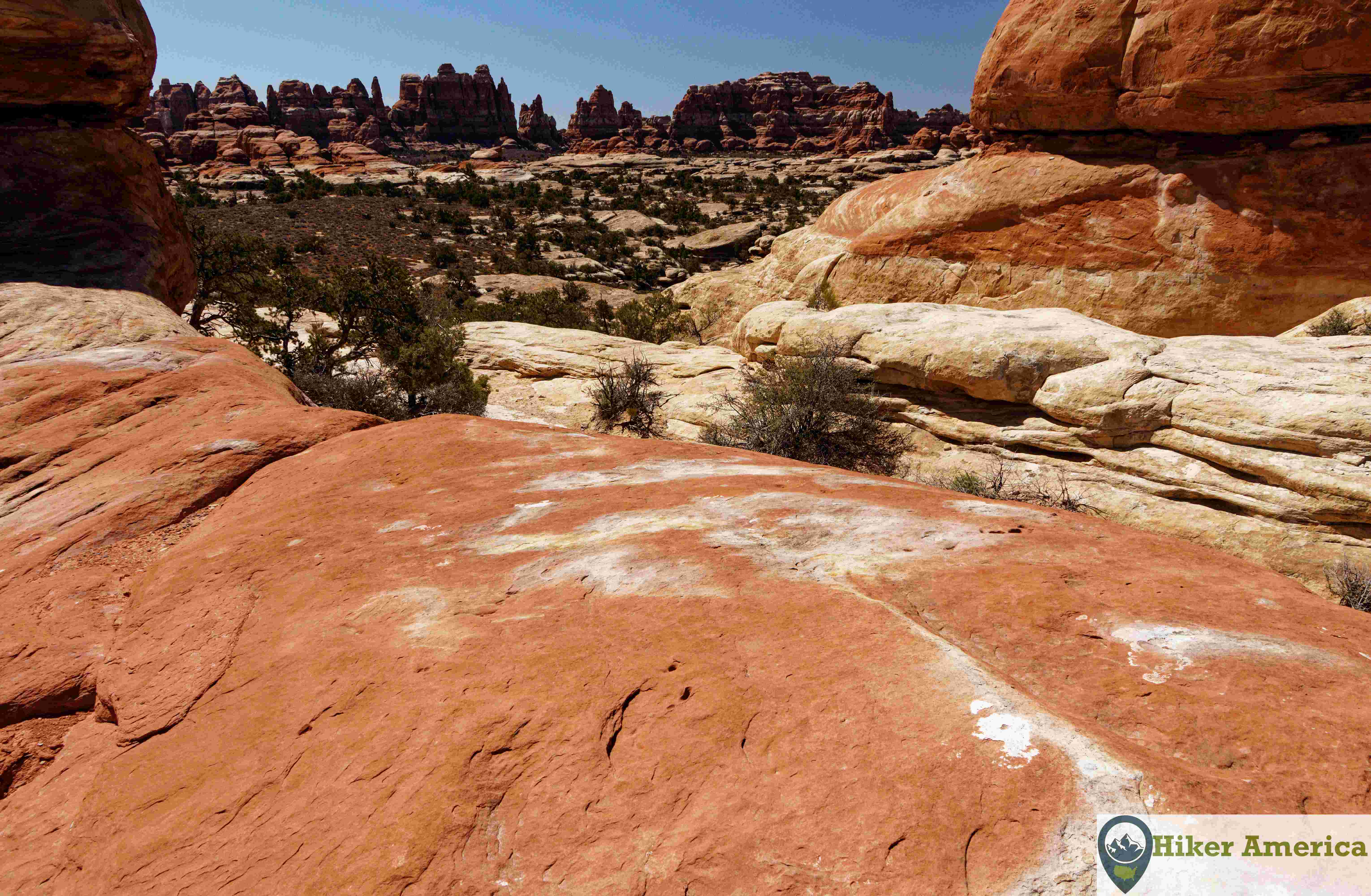 A excellent view of the needles in the Needles District.