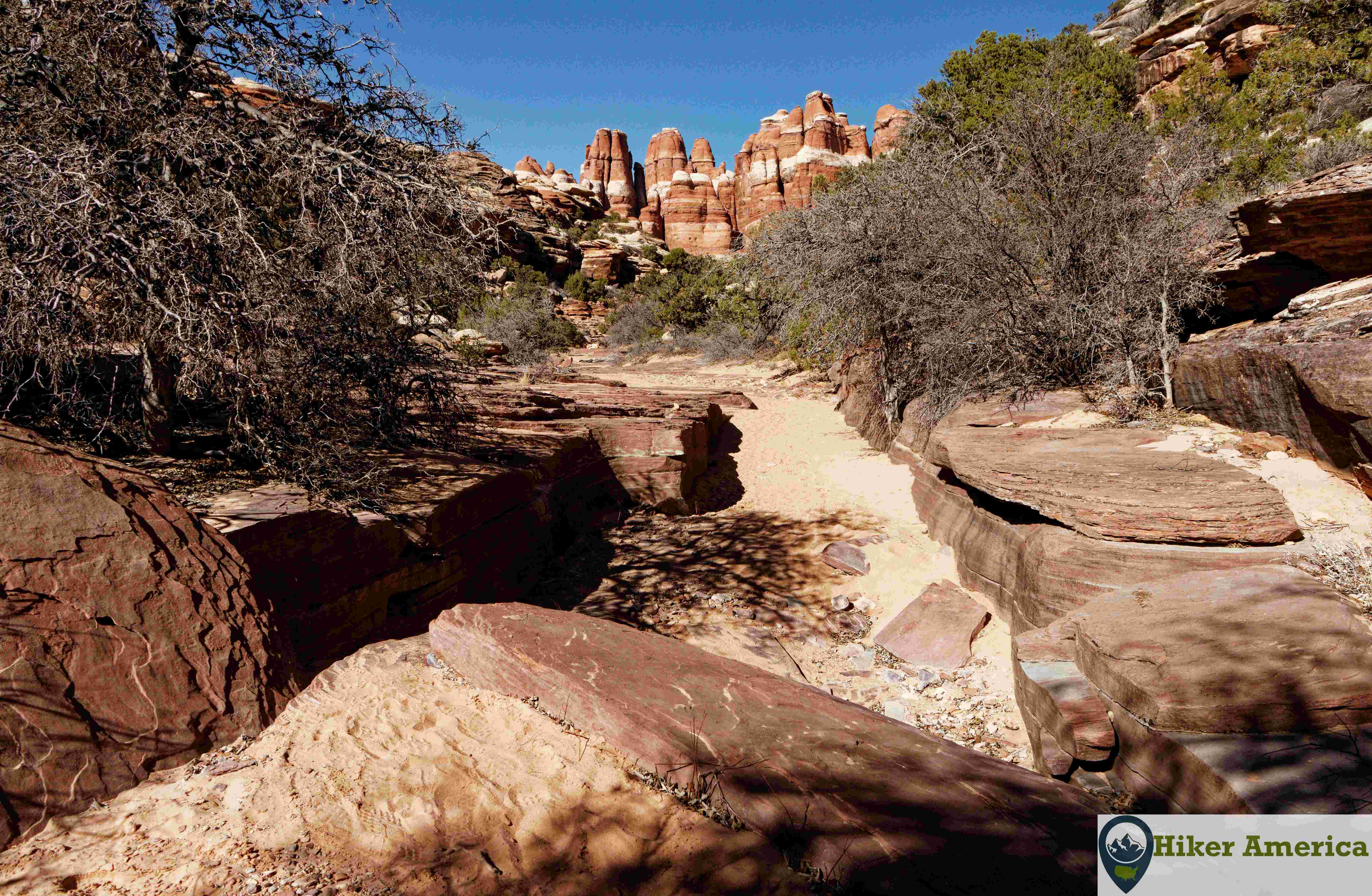 Canyon scenery on the Elephant Canyon Trail.