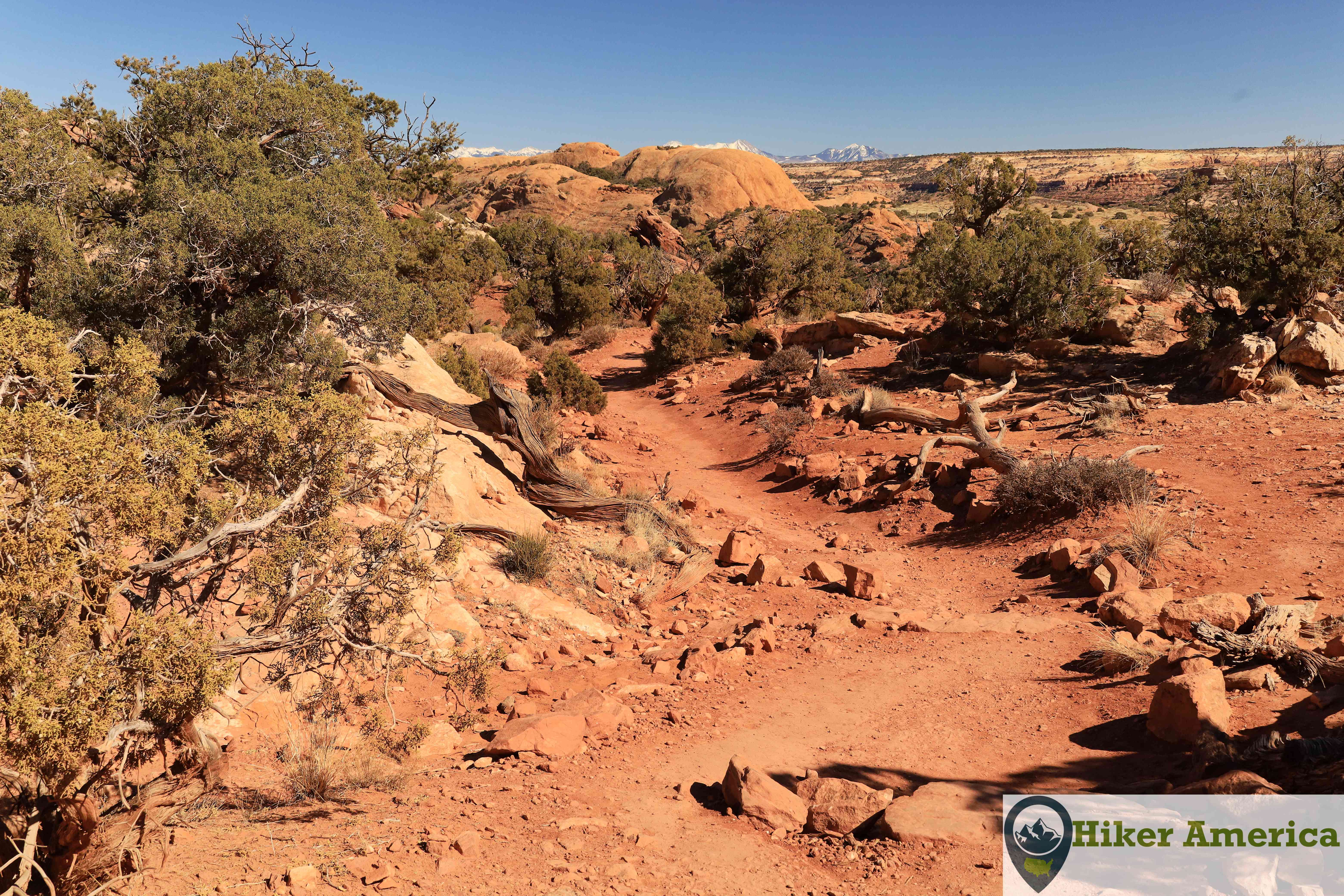 Looking at Whale Rock from the Upheaval Dome Trail.