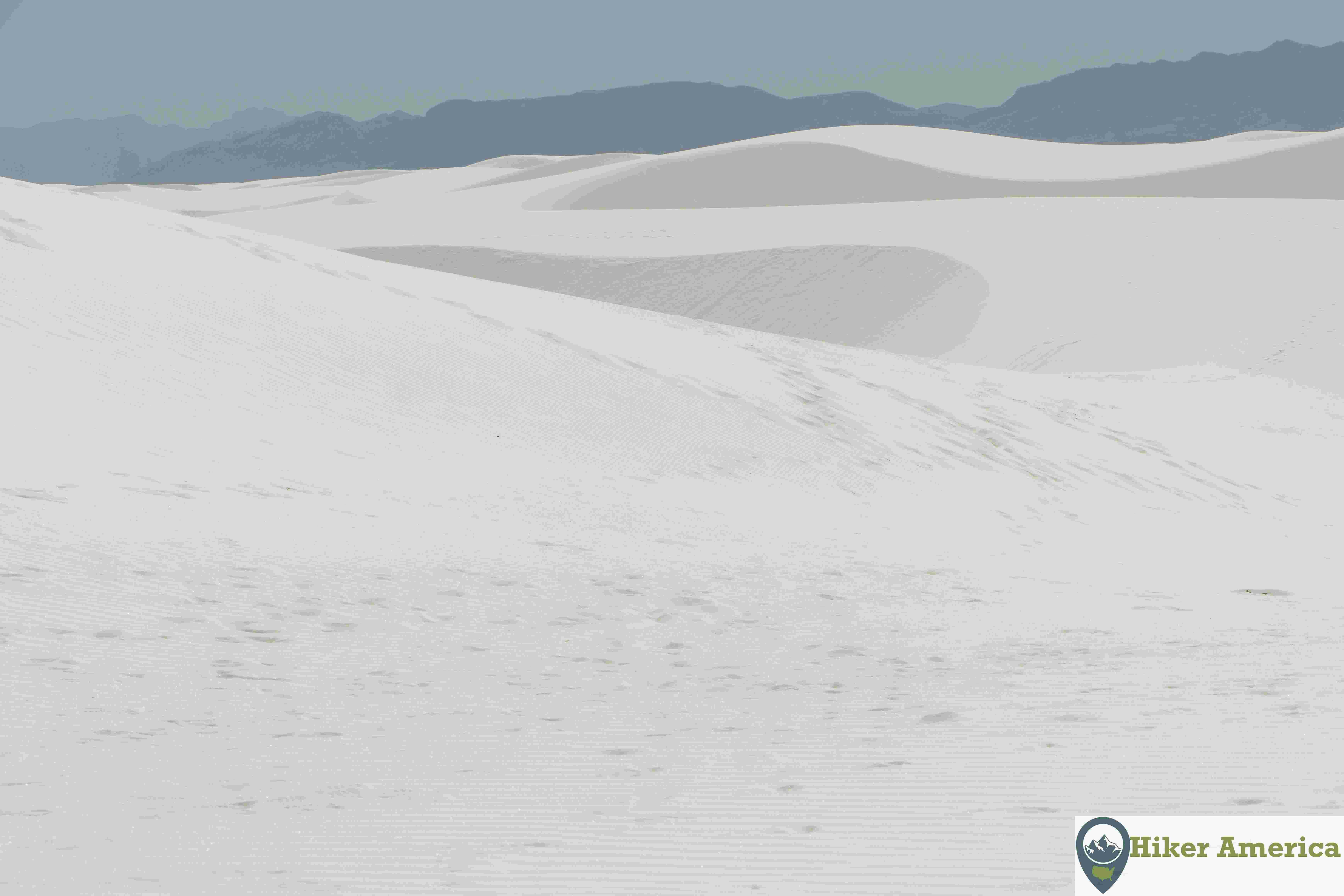 Wide open dunes with no vegetation is common on the Alkali Flat Trail.